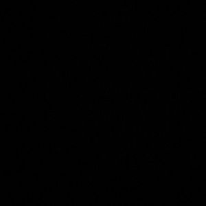 Meet your Posher, Maddison